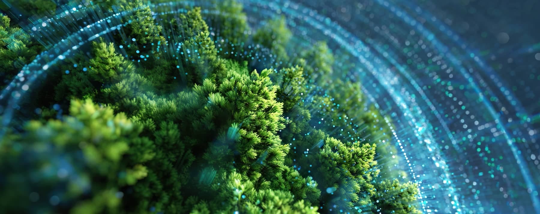 Soirée de lancement Promo #5