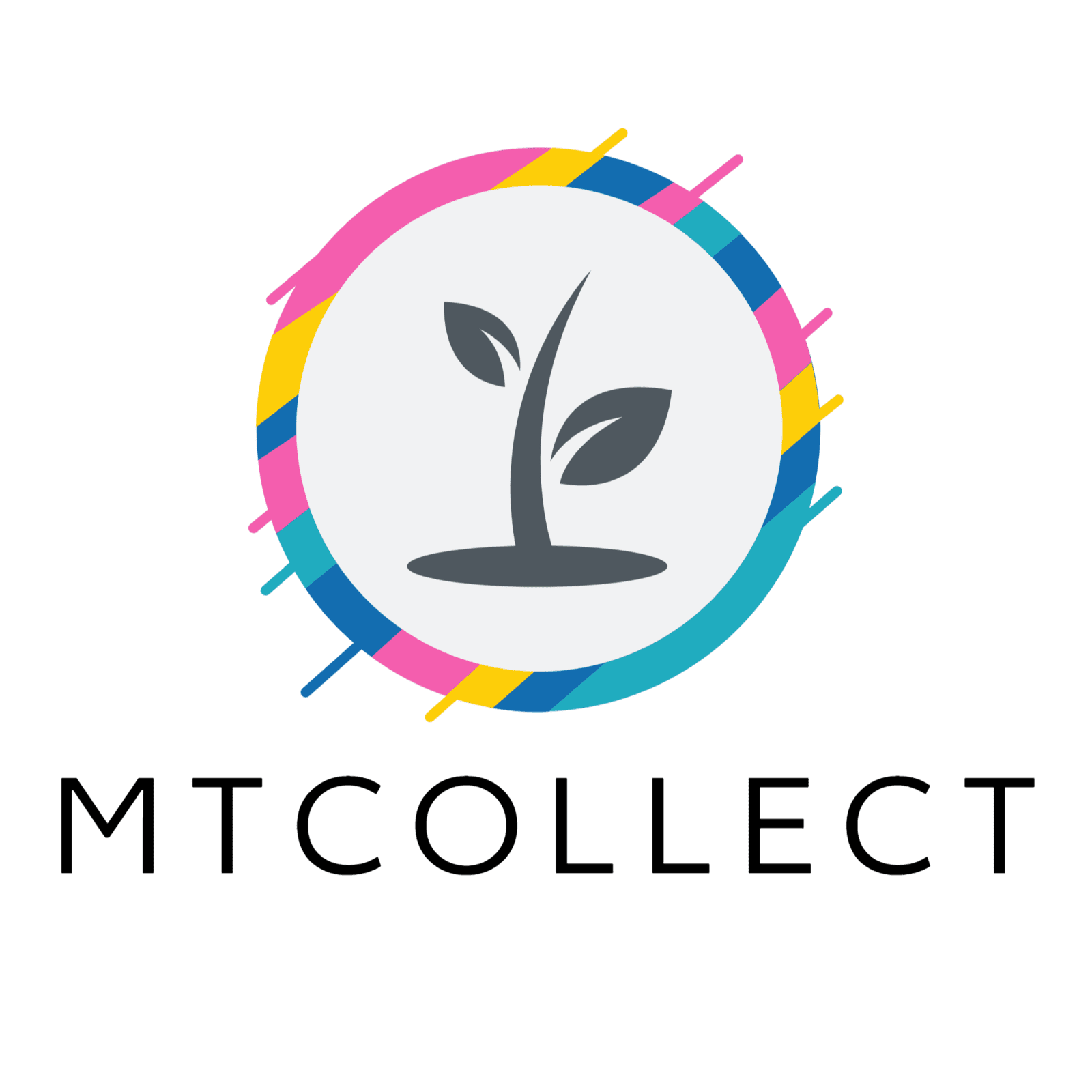 Logo MT COLLECT
