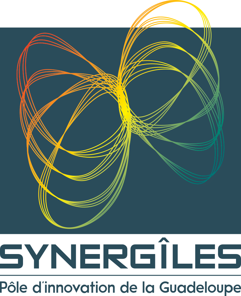 Logo Synergîles