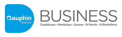 Logo Dauphin Télécom